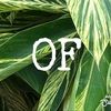 ordinaryfinds